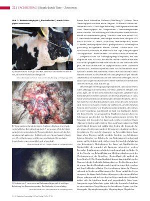 Vorschauseite 3: Krank durch Tiere – Zoonosen