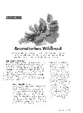 Vorschauseite 1: Aromatisches Wildkraut