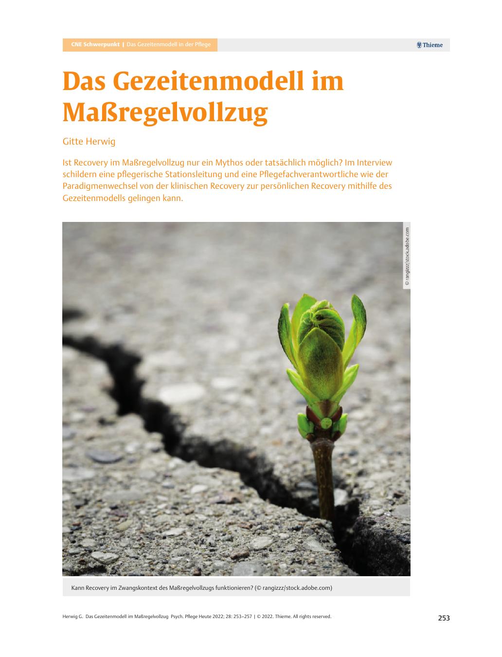 Vorschauseite 1: Das Gezeitenmodell im Maßregelvollzug