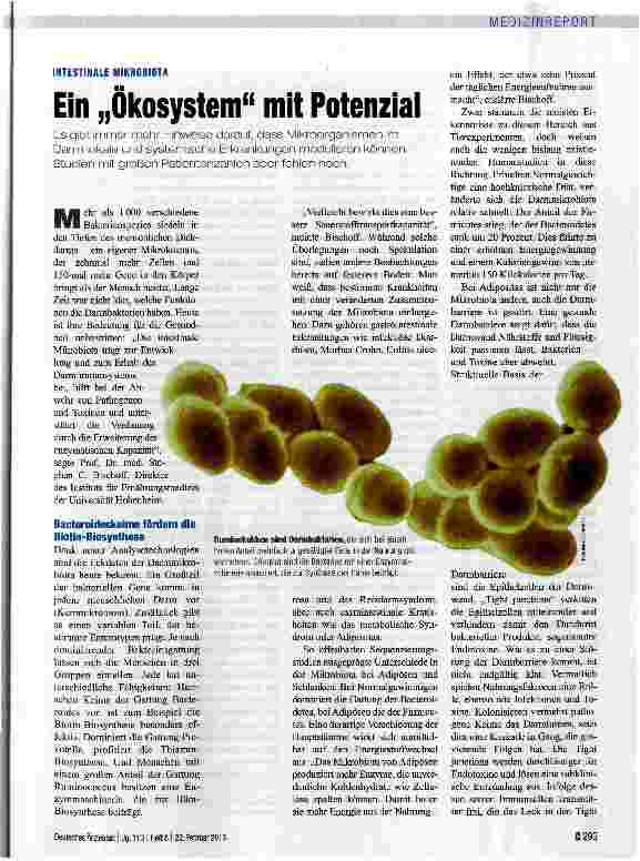 Vorschauseite 1: Ein „Ökosystem mit Potenzial