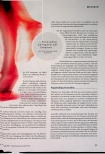 Vorschauseite 2: Abgrenzung von „Mimics“