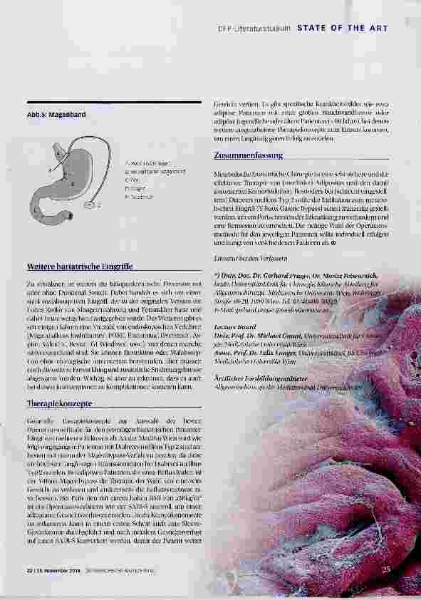 Vorschauseite 6: Adipositas-Chirurgie