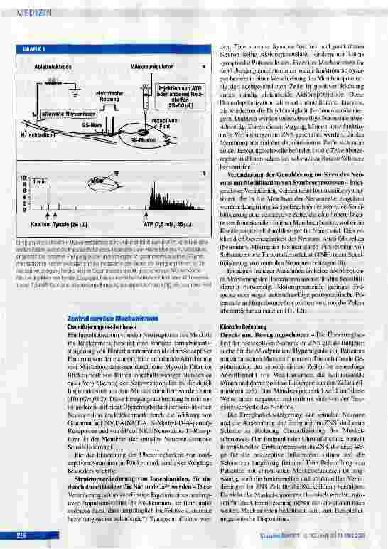 Vorschauseite 3: Muskelschmerz:Mechanismen und klinische Bedeutung