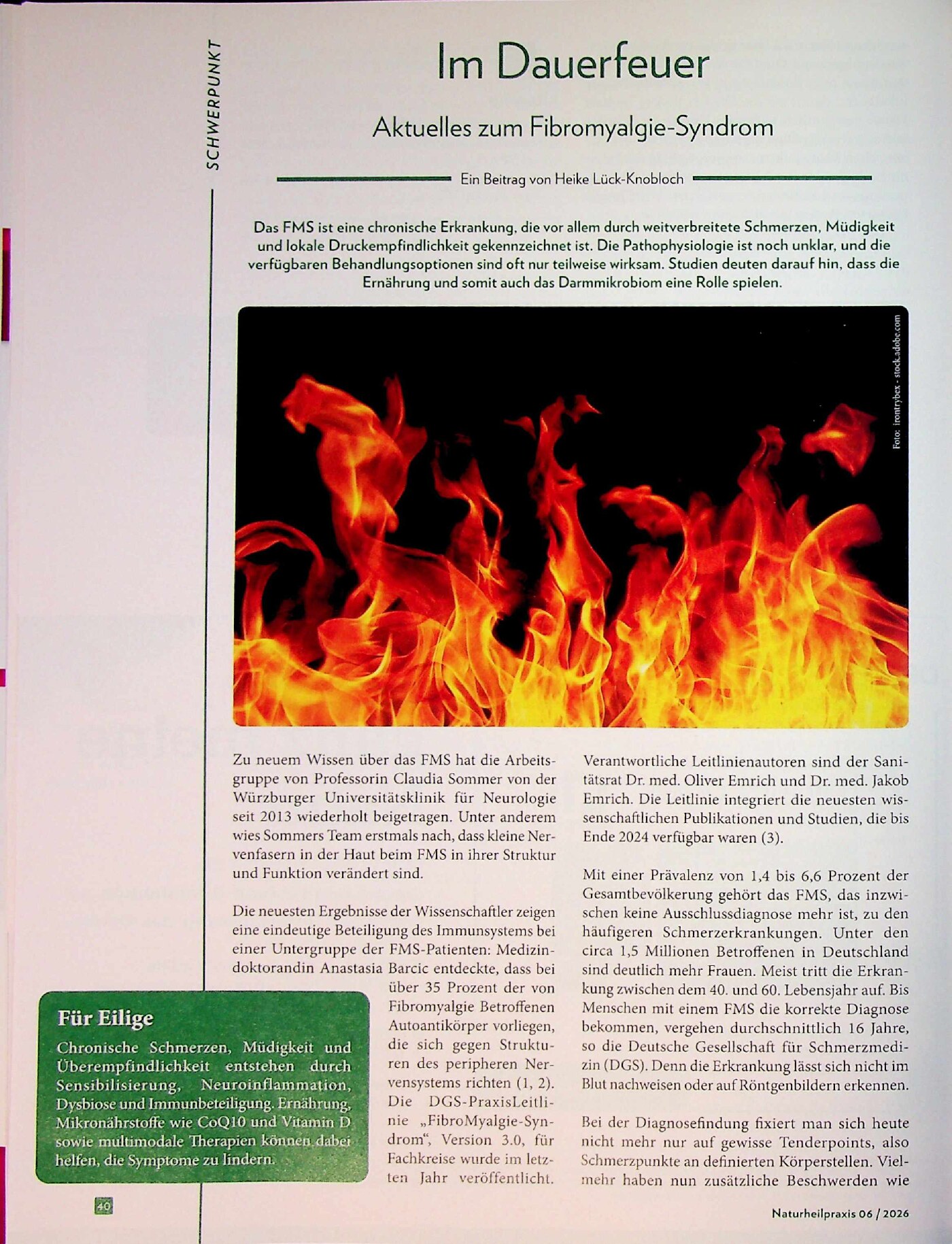Vorschauseite 1: Im Dauerfeuer – Aktuelles zum Fibromyalgie-Syndrom