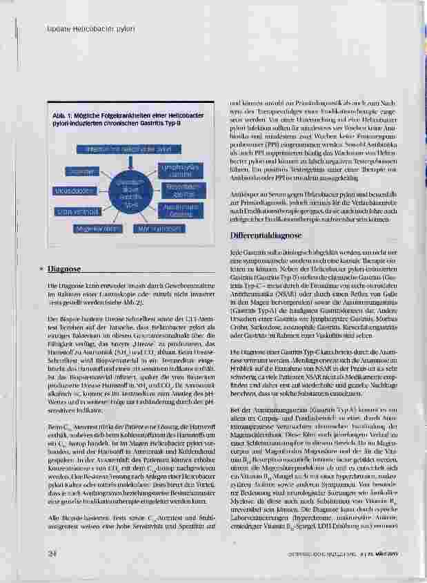 Vorschauseite 3: Update Helicobacter pylori