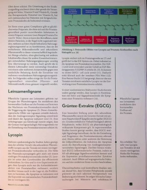 Vorschauseite 2: Drüse in Topform Die wirksamsten Mikronährstoffe für die Prostata