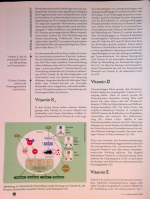 Vorschauseite 3: Drüse in Topform Die wirksamsten Mikronährstoffe für die Prostata