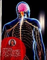 Vorschauseite 1: Intensivmedizinische Behandlung in der Neurorehabilitation