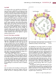 Vorschauseite 2: Inaktivierung von Krankheitserregern mittels niederenergetischer Elektronenstrahlung als neuer Ansatz in der Impfstoffentwicklung