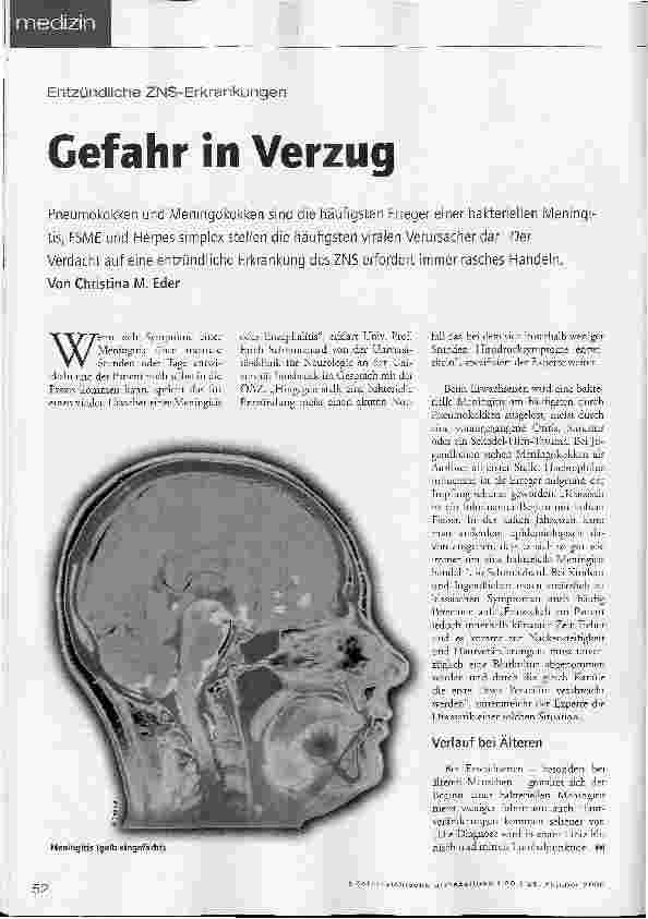 Vorschauseite 1: Gefahr in Verzug