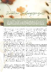 Vorschauseite 1: Kurativer Heilungsprozess