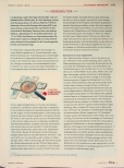 Vorschauseite 3: MESSERSCHLEIFER