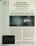 Vorschauseite 1: Bitter und süße - die Bauchspeicheldrüse als polares Organ. Ihre Darstellung im Auge - Teil 2.