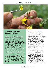 Vorschauseite 3: Heilkräfte in der biodynamischen Züchtung
