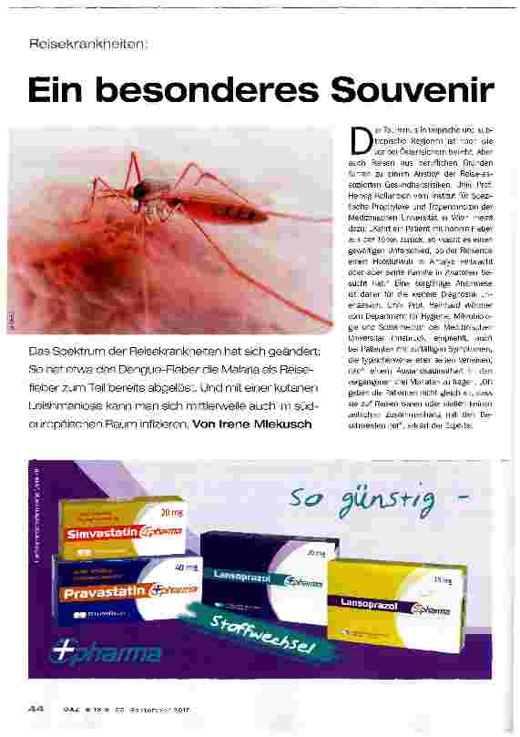 Vorschauseite 1: Ein besonderes Souvenir