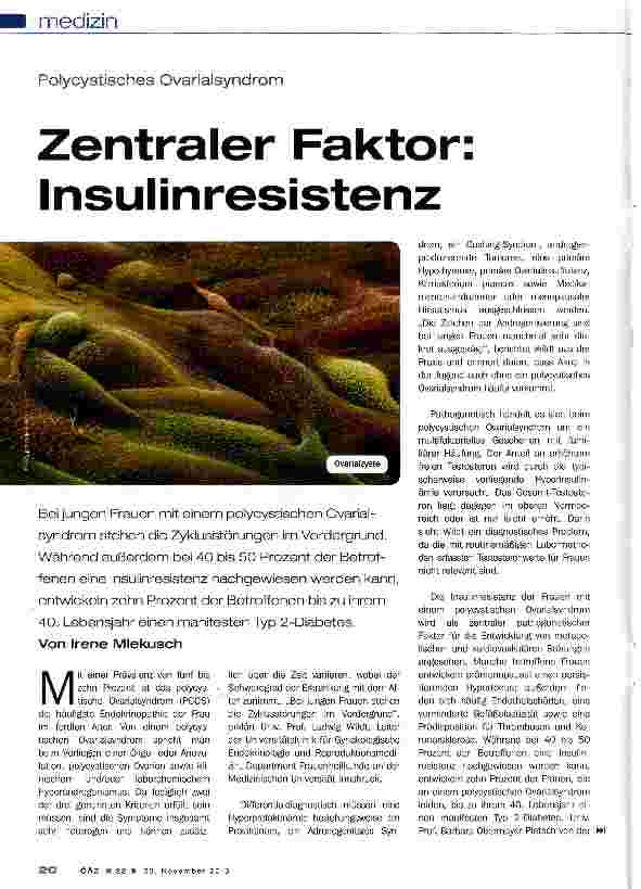 Vorschauseite 1: Zentraler Faktor: Insulinresistenz