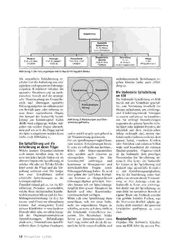 Vorschauseite 2: Die Stabsstelle als unterstützendes Element in der Spitalführung