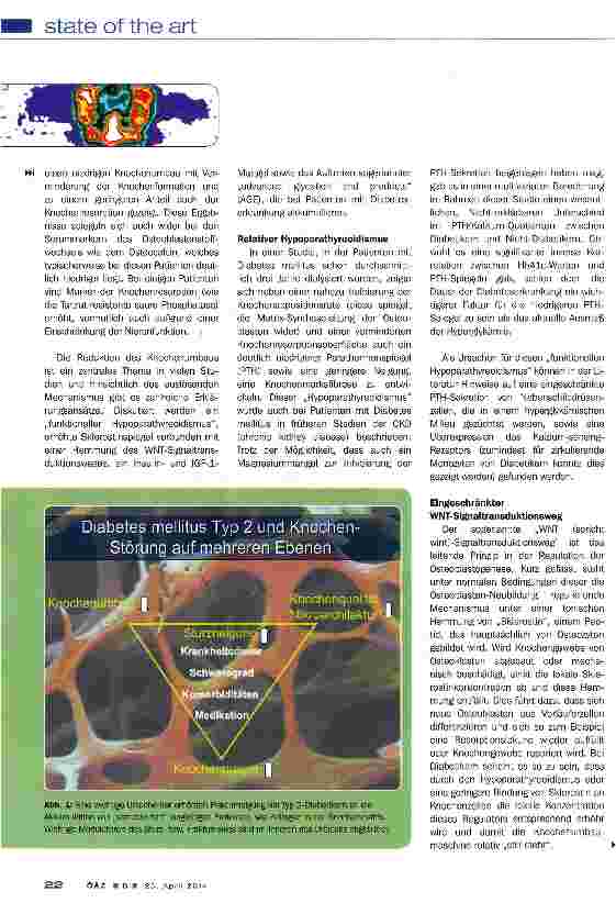 Vorschauseite 3: Diabetes und Knochen