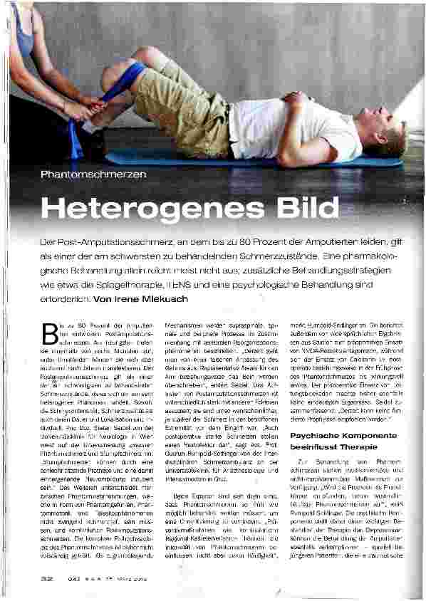 Vorschauseite 1: Phantomschmerzen Heterogenes Bild