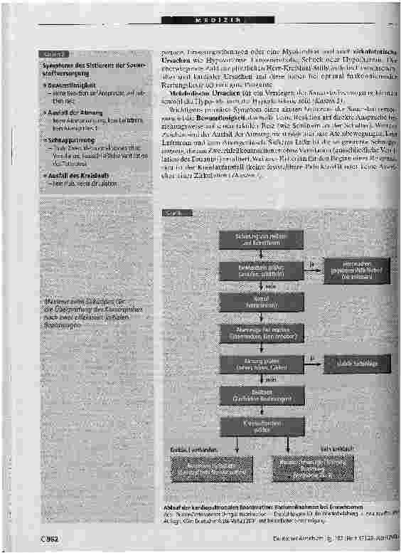 Vorschauseite 2: Grundlagen der Basisreanimation bei Erwachsenen