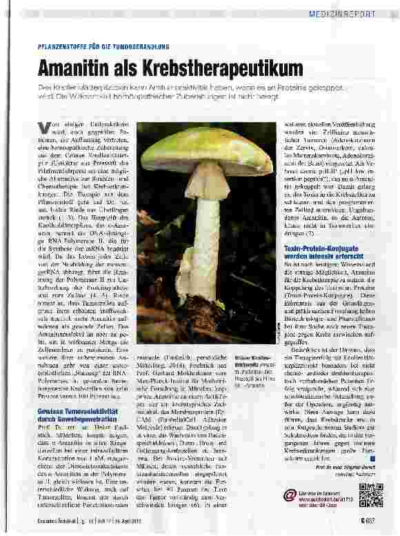 Vorschauseite 1: Amanitin als Krebstherapeutikum