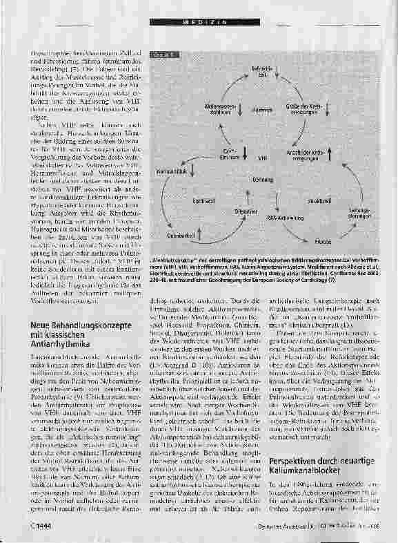 Vorschauseite 2: Vorhofflimmern: Grundlagenforschung liefert neue Therapieansätze