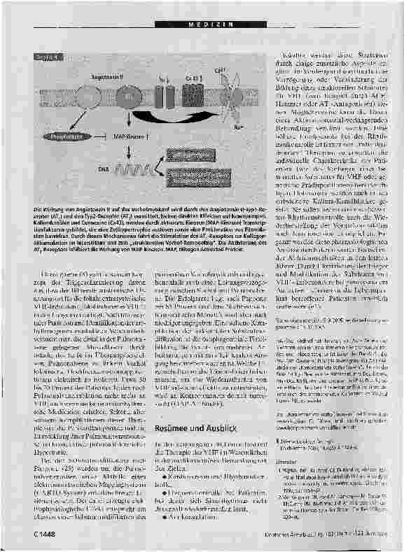 Vorschauseite 5: Vorhofflimmern: Grundlagenforschung liefert neue Therapieansätze