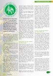 Vorschauseite 2: Die Brennnessel - Heilpflanze des Jahres 2022