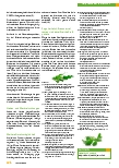 Vorschauseite 4: Die Brennnessel - Heilpflanze des Jahres 2022