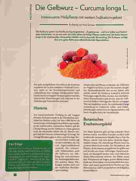 Vorschauseite 1: Die Gelbwurz - Curcuma longa L. Interessante Heilpflanze mit weitem Indikationsgebiet.