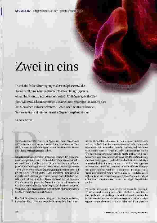 Vorschauseite 1: Zwei in eins