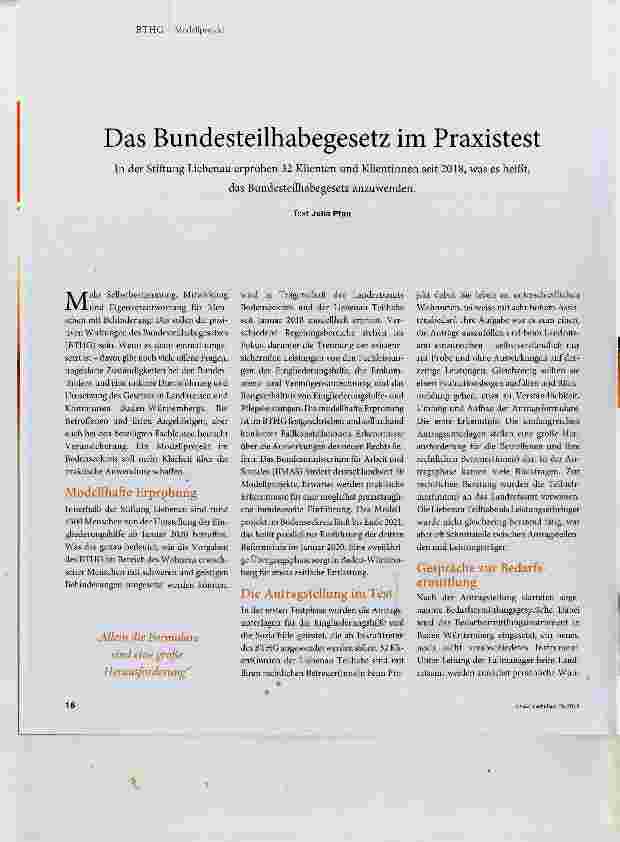 Vorschauseite 1: Das Bundesteilhabegesetz im Praxistest