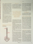 Vorschauseite 2: APM Radloff und der angeborene muskuläre Schiefhals