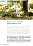 Vorschauseite 1: Naturnah und tröstlich: letzte Ruhe im Wald
