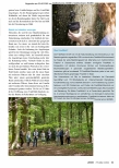 Vorschauseite 2: Naturnah und tröstlich: letzte Ruhe im Wald