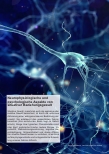 Vorschauseite 1: Neurophysiologische und psychologische Aspekte von situativer Beziehungsgewalt