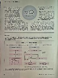 Vorschauseite 3: Warnsignal fehlt