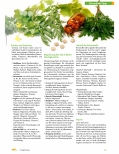 Vorschauseite 4: Niedriggradige, chronische Entzündungen. Stille Entzündung, Silent Inflammation/subklinische Inflammation.