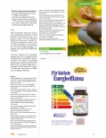 Vorschauseite 6: Niedriggradige, chronische Entzündungen. Stille Entzündung, Silent Inflammation/subklinische Inflammation.