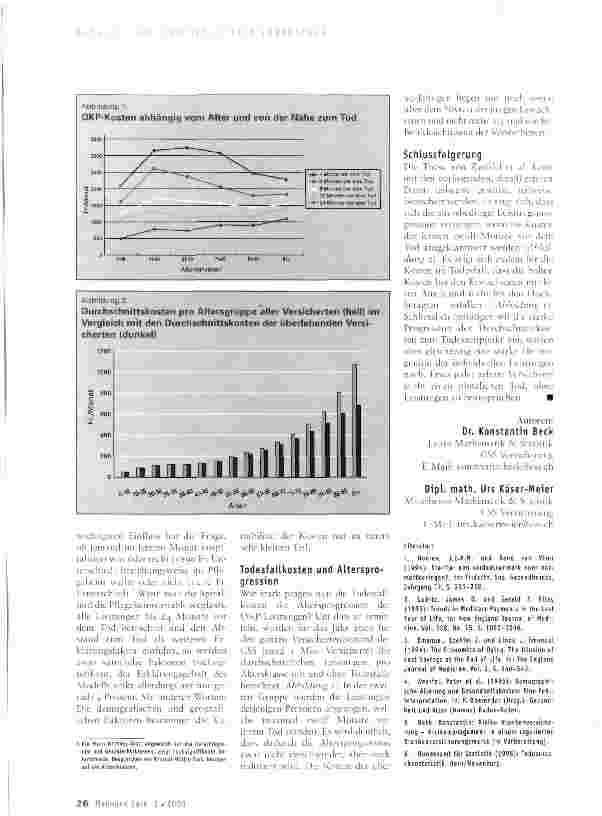 Vorschauseite 3: Die Krankheitskosten im Todesfall - Eine deskriptiv statistische Analyse