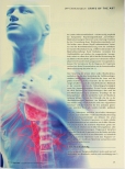 Vorschauseite 2: Arterielle Hypertonie