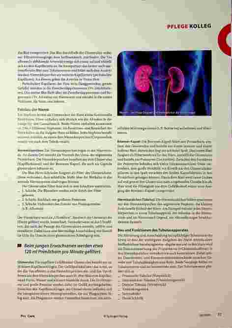 Vorschauseite 2: Anatomie und Physiologie der Nieren