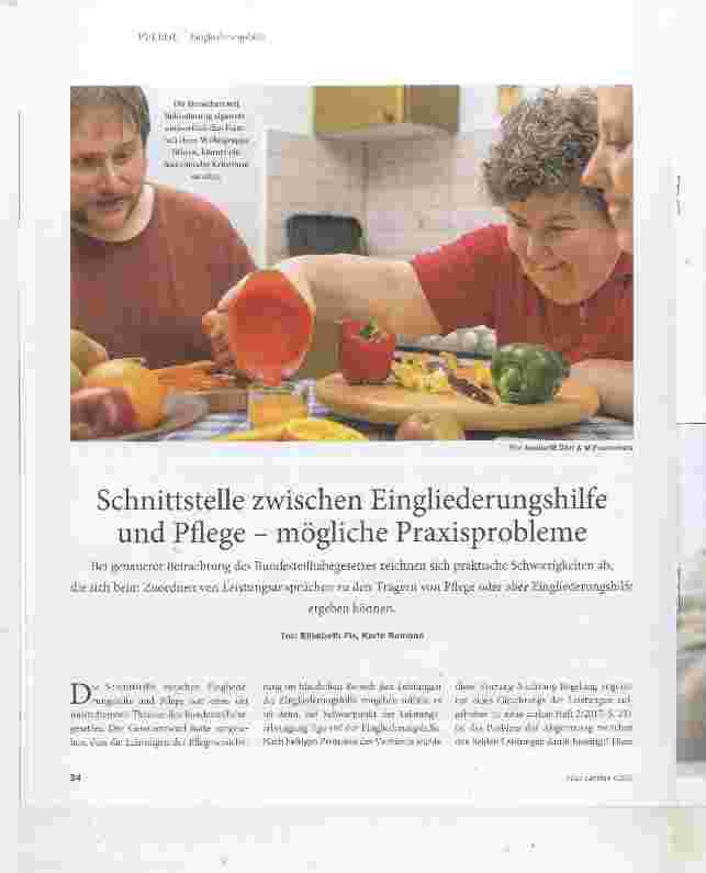 Vorschauseite 1: Schnittstelle zwischen Eingliederungshilfe und Pflege mögliche Praxisprobleme