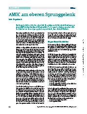 Vorschauseite 1: AMIC am oberen Sprunggelenk