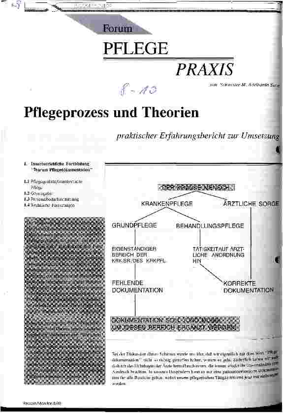 Vorschauseite 1: Pflegeprozess und Theorien Praktischer Erfahrungsbericht zur Umsetzung