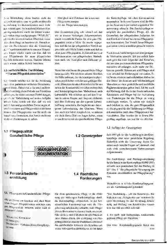 Vorschauseite 2: Pflegeprozess und Theorien Praktischer Erfahrungsbericht zur Umsetzung
