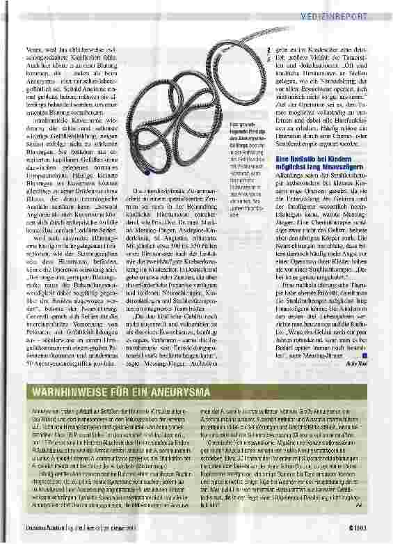Vorschauseite 2: Standardisierung ist unmöglich