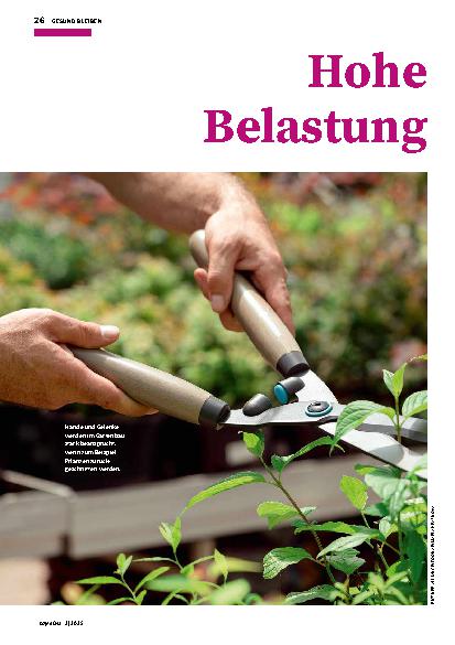 Vorschauseite 1: Hohe Belastung