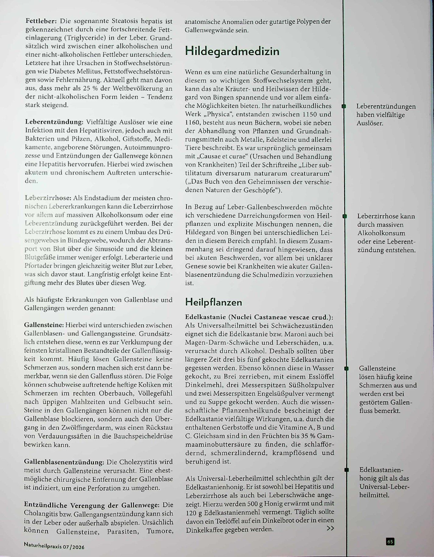 Vorschauseite 2: Leber-Gallen-Reset. Vielfältige Ideen aus der Hildegardmedizin