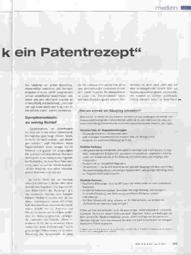 Vorschauseite 2: Es gibt kein Patentrezept